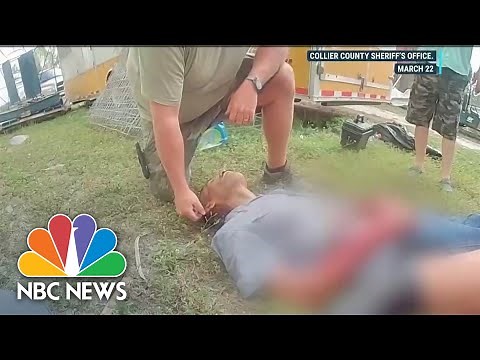 Body Camera Footage Shows Moments Following Florida Tiger Attack