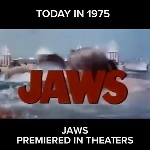 Remember to watch this movie... before you swim! 🏊 | HDNET MOVIES