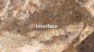 Interface — Nature Works - Brendan Bennett