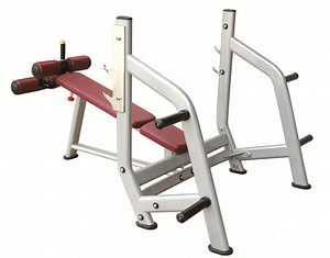[Hot Item] Heavy Duty Declie Bench Press Free Weight Fitness Equipment
