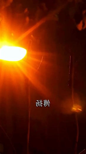 A Female CEO Rushed to Save a Man Being Chased by Fans—Only to Catch Her “Husband” in Midair, Never Knowing They Had Slept in the Wrong Wedding Room Just One Night Before. #ContractMarriage #WrongRoomWedding #FemaleCEO #DramaRecap #DramaShorts