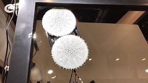 2.9K views · 18 reactions | SQUEAKY CLEAN // loath window washing? Get the Gecko to do it for you, and no, we're not high! RobotZoo is the place for home robots. Household robots. Domestic robots. Smart appliances that will do the chores. For your Floors, Windows, Pools, and Lawns. At the Sydney Home Show this weekend, 10am - 6pm daily, entry is free! | Home Show Australia | Facebook