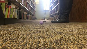 1.2K views · 13 shares | Looking for a FUN family indoor activity...