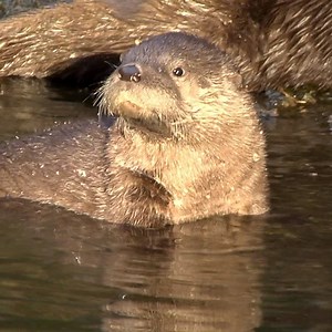 When the sun comes out in Portland. | Oregon Zoo