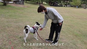 4.5K views · 864 reactions | 里親さんは、犬舎スタッフ～仁尾＆ミルク編～ ....