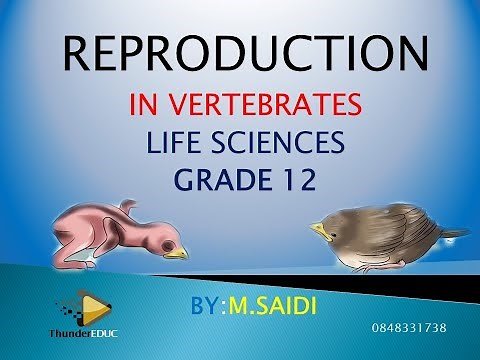 Reproduction in vertebrates grade 12 [GRADE 12 LIFE SCIENCES ] THUNDEREDUC, BY M.SAIDI