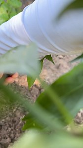 36 reactions · 27 shares | Congratulations on making your own...