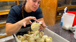 The Reptile Zoo on Reels