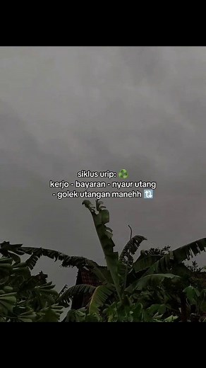 101K views · 2.4K reactions | panggah mbulet ae #jowostory #fyp | Bang Jago | Facebook