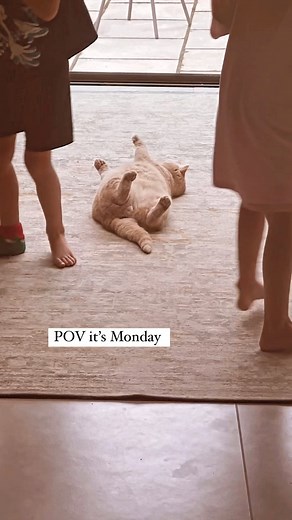 Seriously though. You all do your “big big energy” and I’ll just ease myself in… | A Model Recommends