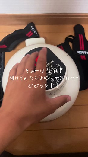 1日目こんな感じですありがちょす！！毎日投稿できるかはわかりません！フォローしてまっててください！ #うずら #孵卵器 #スーパー