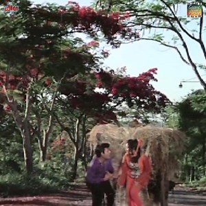 984K views · 1.1K shares | A rare peppy duet song composed by our...