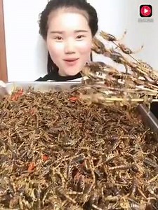 OMG🙃 | State Observer