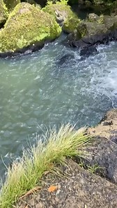 1K views |  OPEN FOR FIRST TIMERS: MAY 31 // SAT JUNE 01 // SUN ...