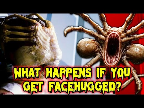 What Happens If You Get Facehugged By A Facehugger? - Explained