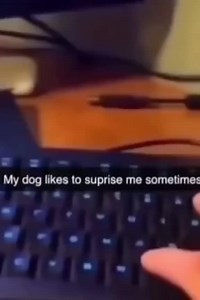 #memes #meme #fyp #foryou #funny | meme