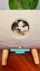 Time for a Scandi refurb for your cat? They will love this new SOPA PET Scandinavian Cat Bed. Stylish and comfy  | Pet Circle | Facebook