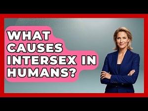 What Causes Intersex In Humans? - Gender Equality Network