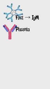 38K views · 578 reactions | Code Havic @medschoolbro = Mystery...