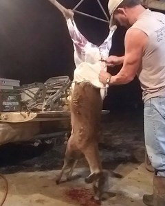 1.9K views · 91 reactions | 2nd one of the 9 videos | Jeff Barron | Facebook