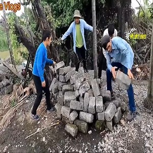 Girl Fights a Giant Python 100kg Attacks Chicken While She is Working | DJ IDeaL