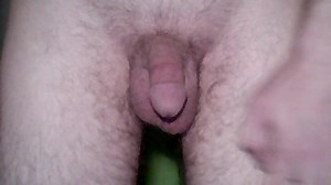 File:Cremasteric Reflex.ogv - Wikimedia Commons