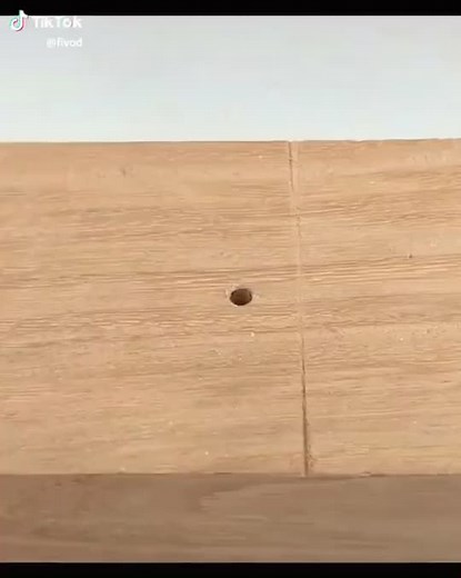 Close-Up Exploration of Everyday Objects and Actions