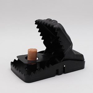 [Hot Item] Good Service Long-Term Both Mosquito Repeller Fly Bug Zapper Rat Glue Trap