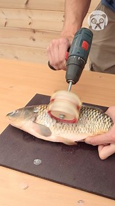 Cleaning Fish With a Drill! | Awesome