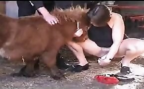 Bestiality zoo porn