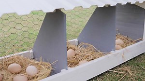 🐾 Give Your Pet the Gift of Comfort with PETSFIT Egg Crate Bed! 🥚 Enjoy 10% Off for a Limited Time. Shop Now! 🛒 Link：https://www.amazon.com/dp/B0CFLKMQ1W?ref=myi_title_dp&th=1 #petsfit #amazon #eggcrate #petsfiteggcrate #ChickenCoop | Petsfit.us