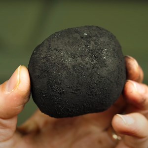 99K views · 5.1K reactions | Where does a tree come from? | Steve Mould | Facebook