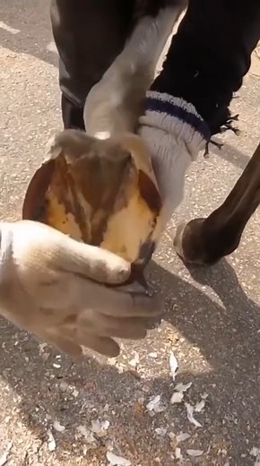 Amazing Meme on Reels