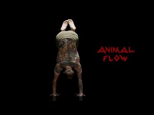 Animal Flow: Transcend