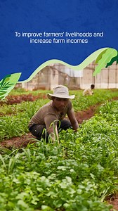 1.4K views · 28 reactions | Planting the seeds of sustainable prosperity in farming communities, JSW Foundation is working hand in hand with farmers to cultivate to empower and pave the way for a brighter, better future. #JSW #JSWGroup #Sustainability #CorporateSocialResponsibility #BetterFuture #BetterEveryday | JSW Group | Facebook