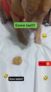 672K views · 12K reactions | Sabi nila isko ilagay daw sa diaper nextime baka kainin mo na daw藍藍藍藍藍 #poopprank #viralvideo #highlights #trend | Iskonatics | Facebook