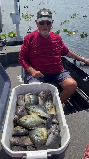 Saturday Shellcracker BEATDOWN!