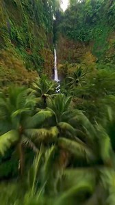 11 reactions | Cheb Amine Toulouse on Reels | Facebook