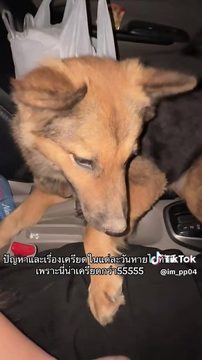 วิดีโอของ มะเขือเทศเลิฟเว่อ🍅💖 (@im_pp04) พร้อมเพลง Understand x Pluto projector - Asanz1e ^3^