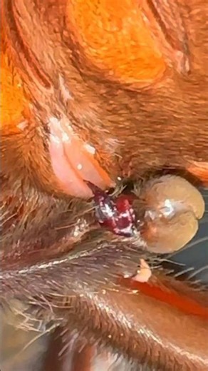 What is he doing to HER!! 😱