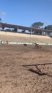 CSI Elite Athlete, Cody Stewart, Won the All Around at Central Point OR, Hayward & Livermore and placed at Santa Maria & Sonora. Thank you for choosing CSI Saddle Pads! @cody_stewart00 #csichamp #csipads #csisaddlepads #handmade #USA #horse #westerntack #tack #rodeo #allaround #cowboy #prorodeo #tiedownroper #teamroper #fleececsi | CSI Saddlepads