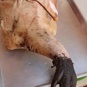 Chef Jason Peru on Reels