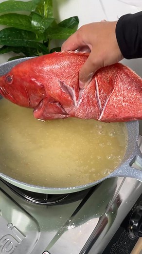 21M views · 213K reactions | Di resto 150 ribu, bikin sendiri 20 ribu udah bisa makan sekeluarga jauh lebih hemat dan enak #ikan #resepikan #masakikan #olahanikan #sauspadang #reseprumahan #resepmudah #cooking #simplecooking #simplerecipes #resep | Diahh Dps Masak | Facebook