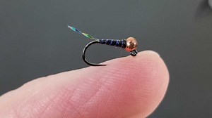 What is a Perdigon Fly? (Are You Ready to Catch Fish) - Guide Recommended