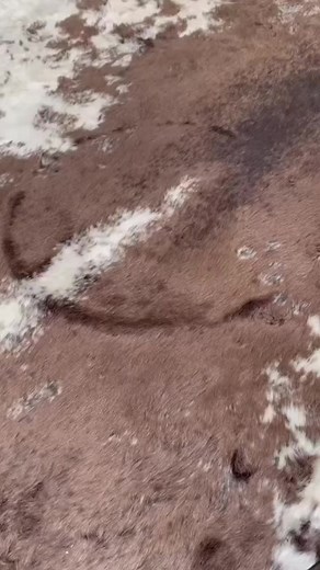 Enhance your dark side with our Black Betty Fedora Hat - a black flat...