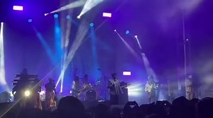 Reggae Festival Guide on Reels | Facebook