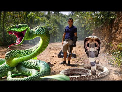 Wild Sri Lanka: Into the Lair of Forgotten Creatures