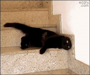 The price is going down | Tifia - ECN broker