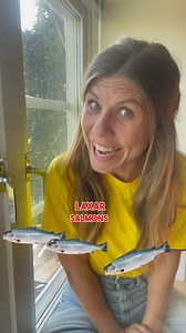 141K views · 2.1K reactions | Can you say this classic Swedish tungvrickare (tongue twister)? . Try it! Sex laxar i en laxask . This one is extra hard for latin language speakers . Join the 100% beginners Live courses that start next week. You will learn the Swedish basics. And practice lots of pronunciation So you sound a lot more Swedish Link in bio ☝️ | Fun Swedish | Facebook