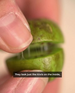 24K views · 681 reactions | Gas bill getting up there? Don’t have an hour to spare for errands? Save time, gas money, and emissions with Imperfect Foods and get sustainably sourced groceries & more delivered to your door. Join today! 凌 | Imperfect Foods | Facebook